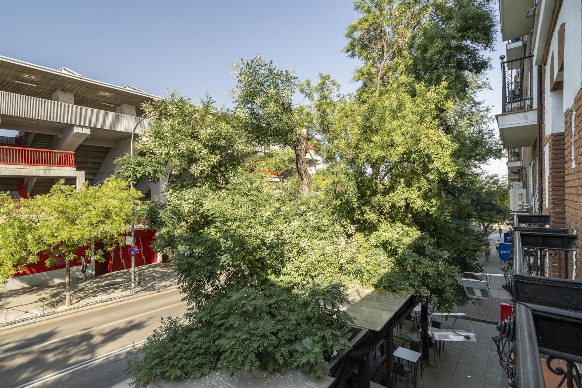 Apartamentos En La Avda De La Albufera Alquiler Temporal Madrid Kültér fotó